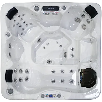Avalon EC-849L hot tubs for sale in Lawrence