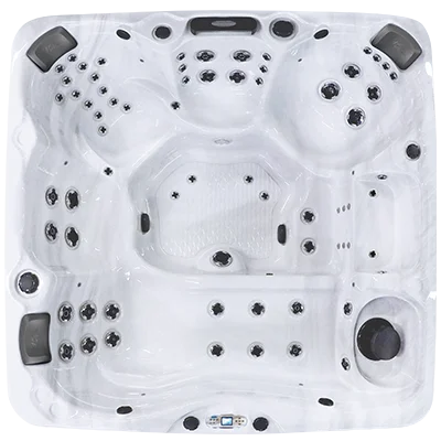 Avalon EC-867L hot tubs for sale in Lawrence